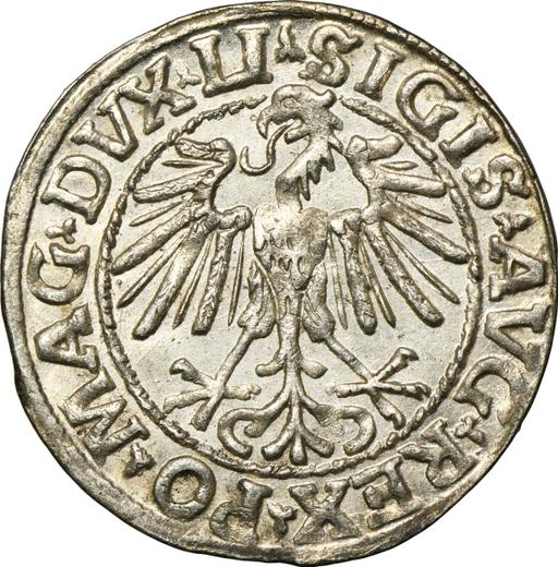 Аверс монеты - Полугрош (1/2 гроша) 1548 года "Литва" - цена серебряной монеты - Польша, Сигизмунд II Август