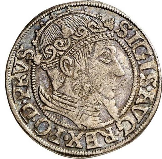 Аверс монеты - 1 грош 1557 года "Гданьск" - цена серебряной монеты - Польша, Сигизмунд II Август