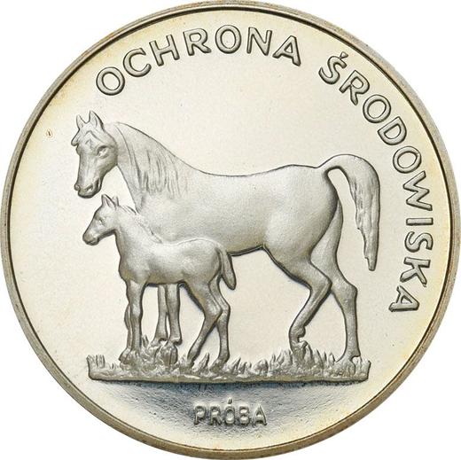 Rewers monety - PRÓBA 100 złotych 1981 MW "Konie" Srebro - cena srebrnej monety - Polska, PRL